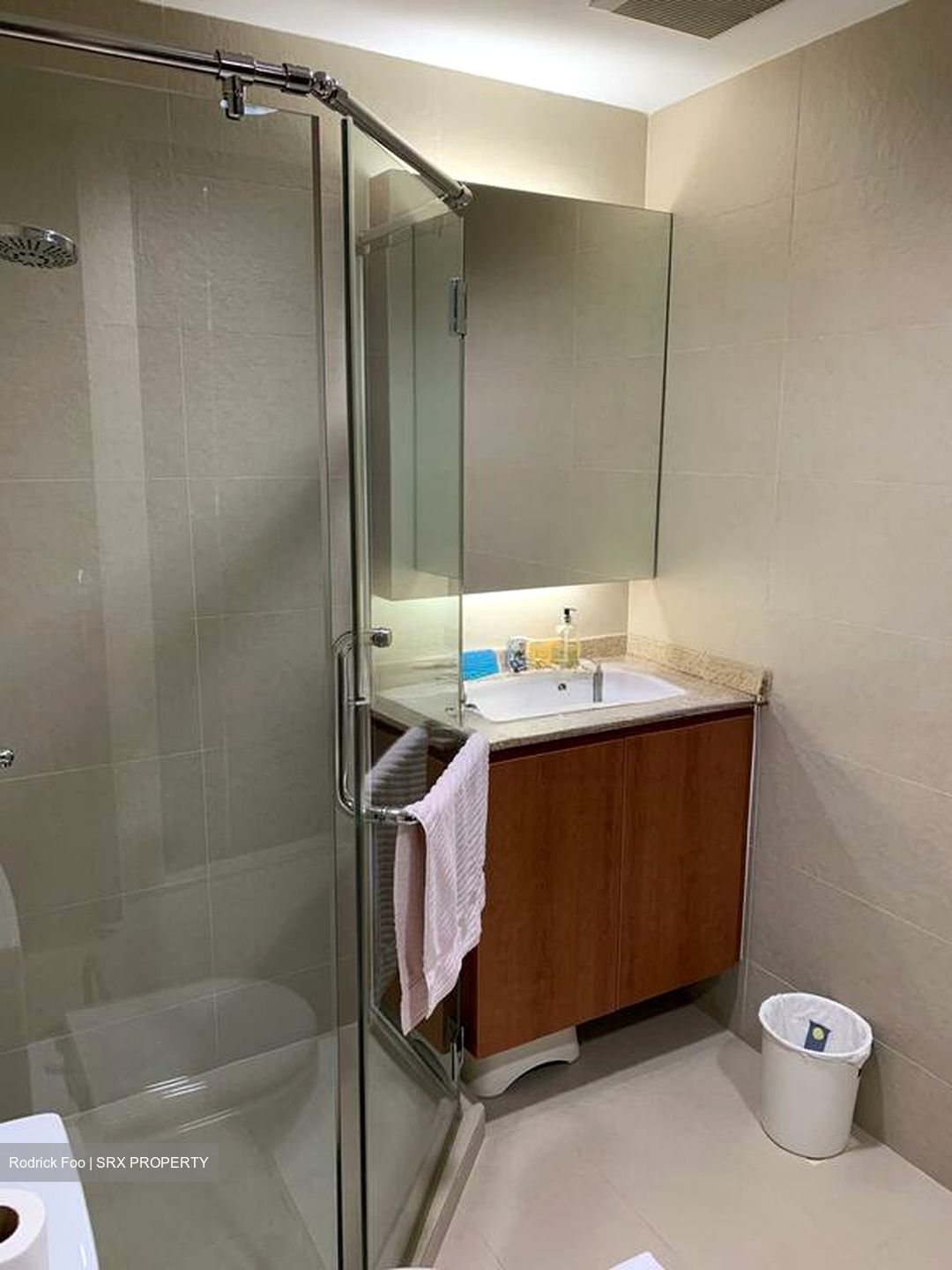 Cairnhill Plaza (D9), Apartment #521361111